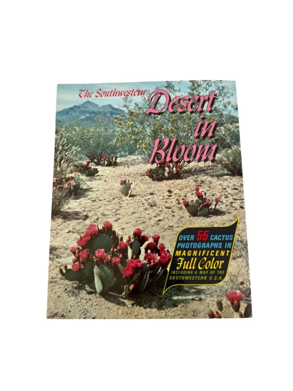 The Southwestern Desert In Bloom Cactus Guide Full Color Photographs Booklet VTG